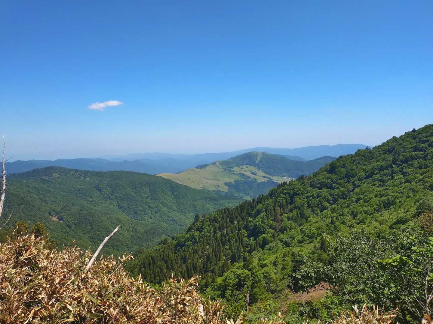 鉢伏山への稜線か綺麗に見えました