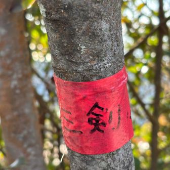 三剣山ピークハント