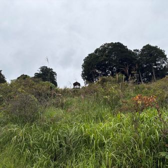 山頂の展望台が見えた！
