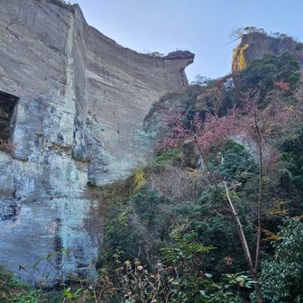 地獄覗き展望台
（今日は行きません）