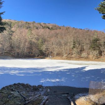 全面凍結に雪が薄らと❄️