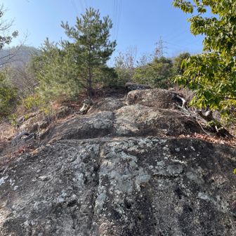 アルプスらしくなってきました🎶