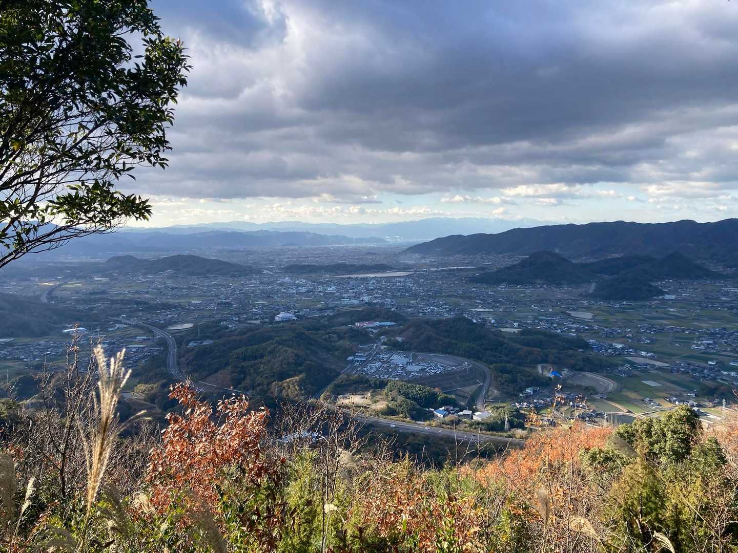 展望台から見た景色