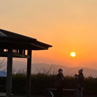 母と妹とマルプーの小梅ちゃんのシルエット