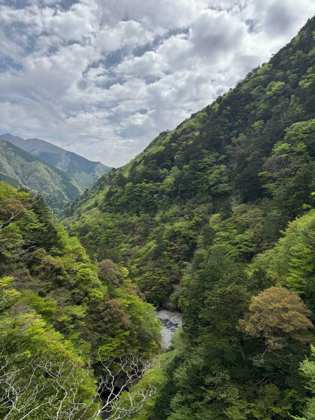 外森山登り口-寸又峡温泉入口バス停-公民館前バス停-外森山 周回コースの写真