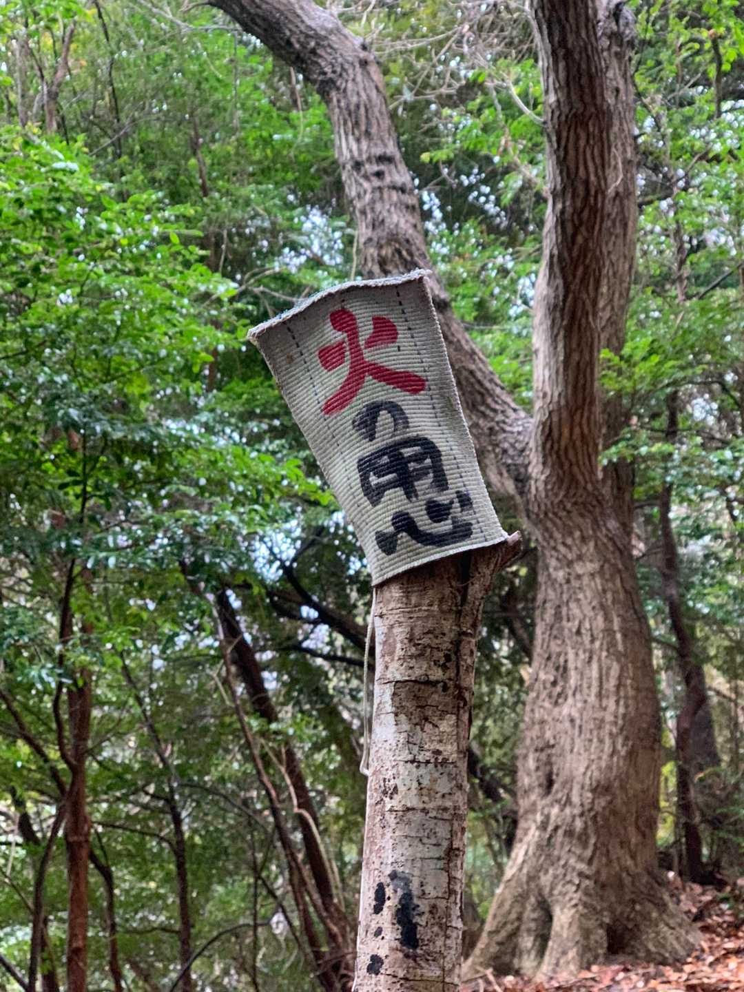 🎤戸締まり用心 火の用心 
戸締まり用心 火の用心♪
月に一度は大掃除 元 元 元気な月曜日
🖐️一日一善

今日は土曜日だよっ👊💢