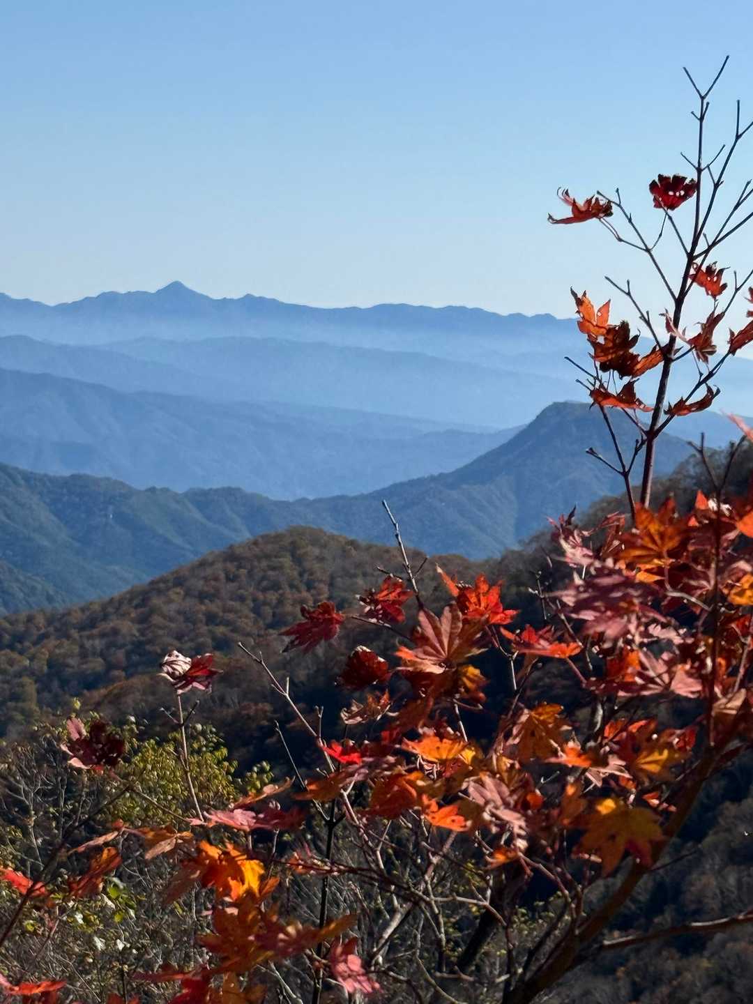 武尊山、日光白根山、男体山