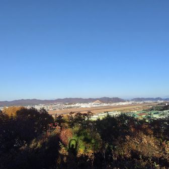 日が落ちるのが早くなりました🌄
これから冬に向かうと思うとさみし😑