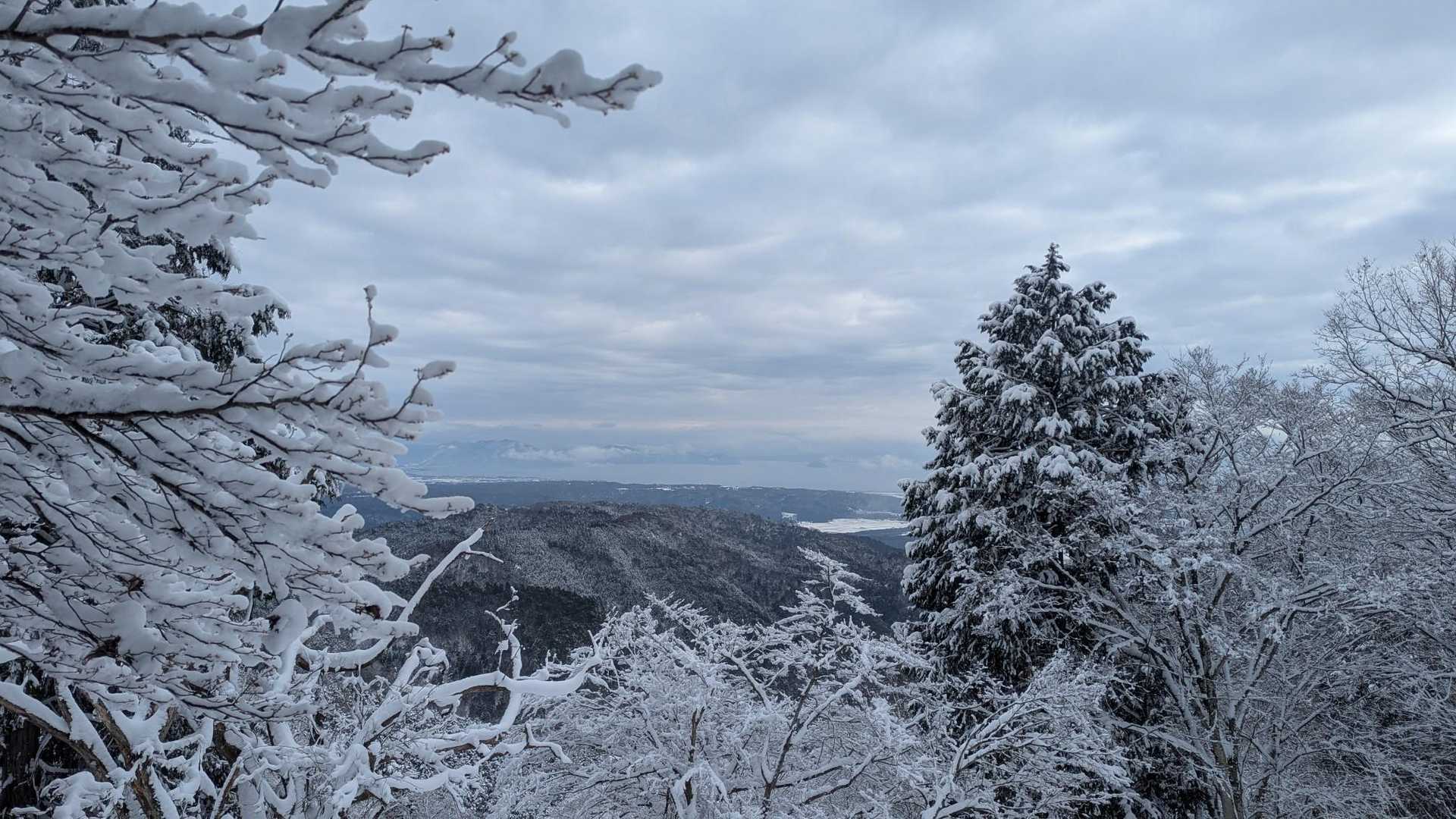 ようやく景色が見えるところまで登ってきました。
