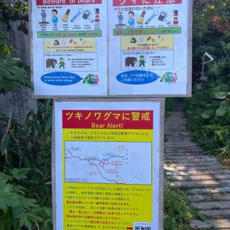 はーい🙋🐻ね。