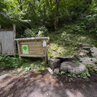笠新道登山口まで戻ってきました
水は出てます