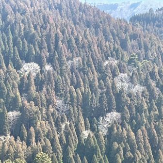 この風景を絵にしようとした人の気持ちを思わずたずねてしまいます。いいな絵が描ける人。