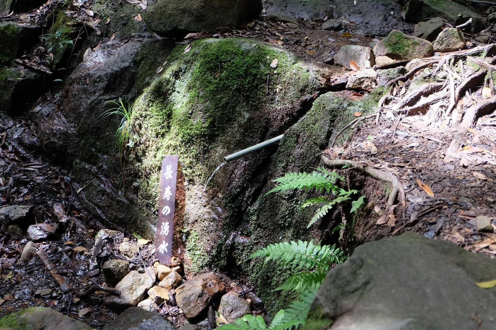 太郎丸嶽-次郎丸嶽-太郎丸・次郎丸岳登山口 縦走コースの写真