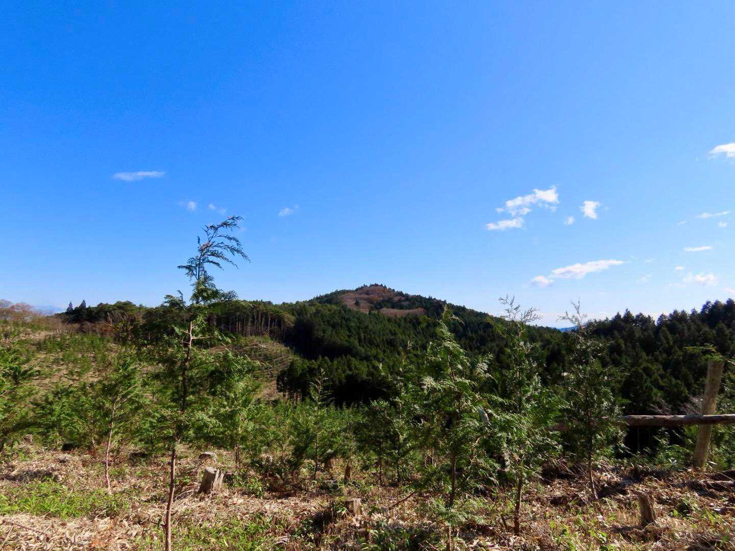 振り返ると山頂が見えました⛰️👀