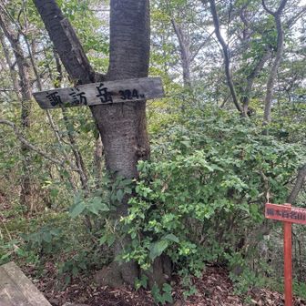 佐野アルプス？の1座目は諏訪岳。