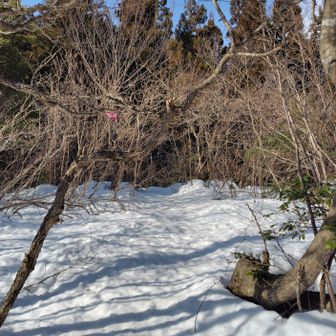 山頂　眺望無し