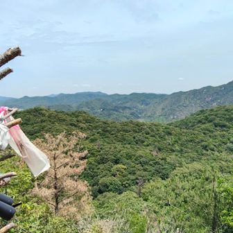 展望スポットに到着🫡
双眼鏡の側に🐦️がいます