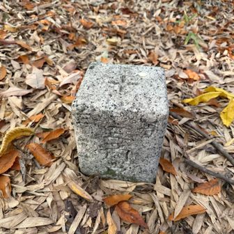 【乙女】（おとめ）
三等三角点
標高71.43m
昭和46年5月12日設置

この三角点の正式名称は【乙女】っていうんですね😆