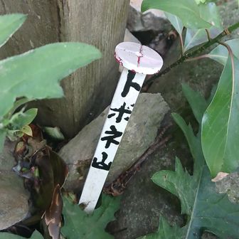 !!🏷️どんだけあるんじゃい(;´д｀)