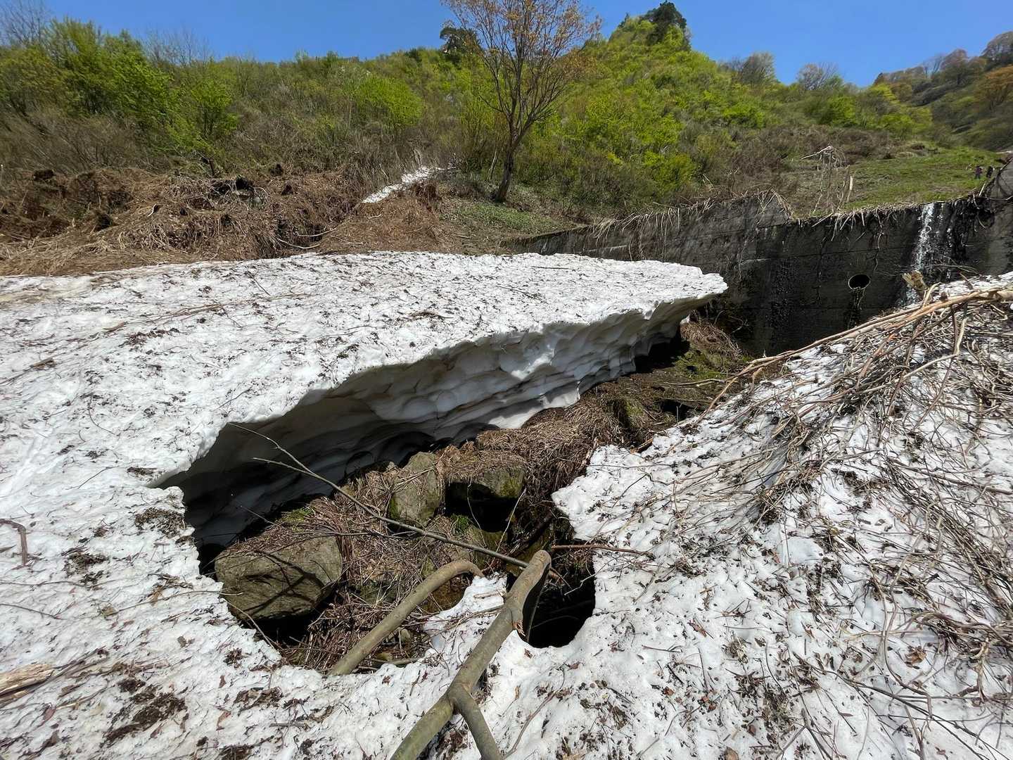 坂戸山登山口-坂戸山 周回コースの写真