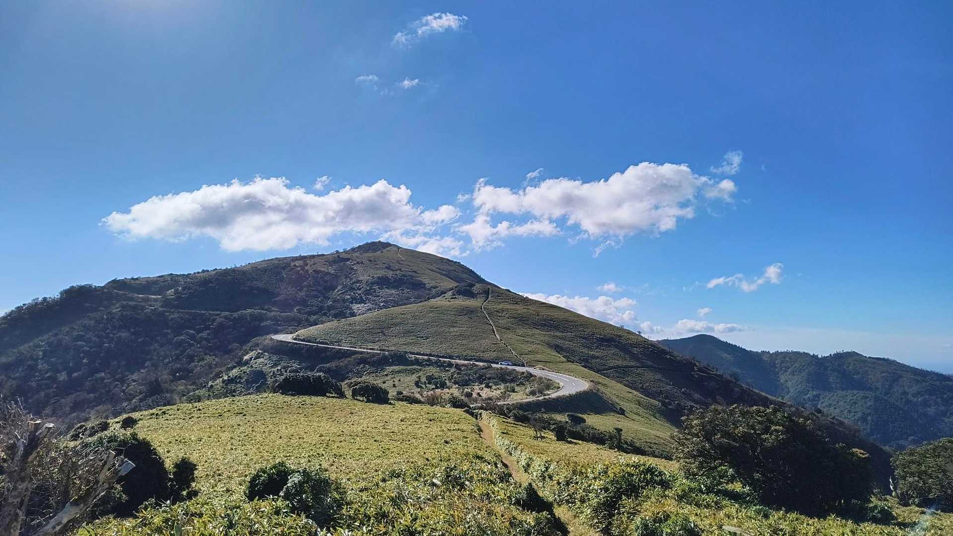 だるま山高原-金冠山-達磨山 往復コースの写真
