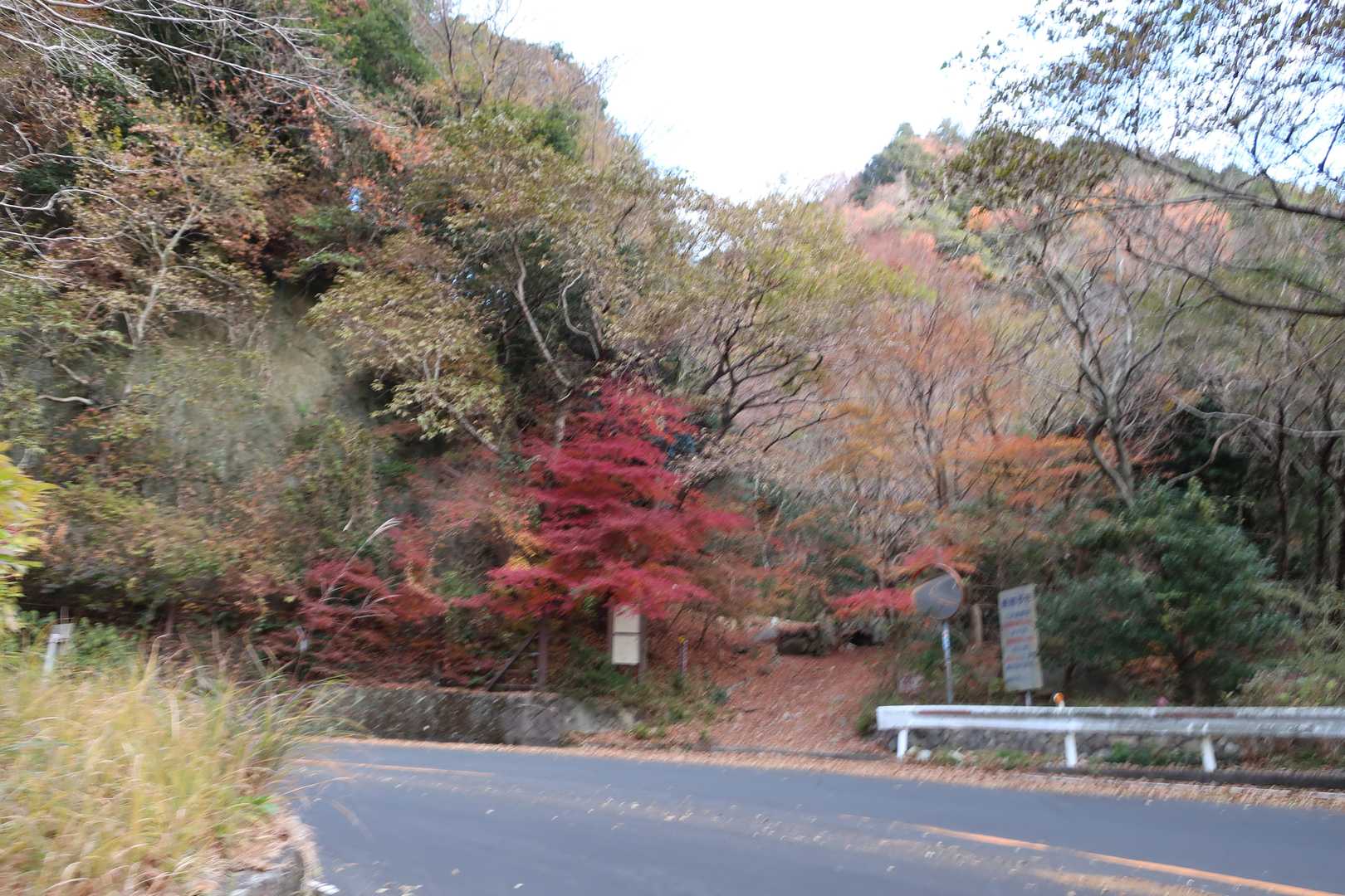 アイスロード登山口　紅葉が若干残っている。