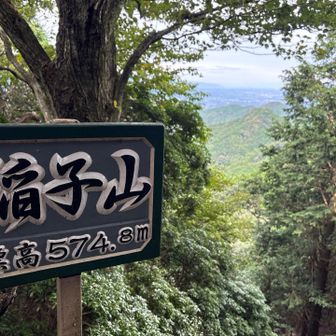 ⑦座目　稲子山⛰️