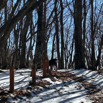 あっ、お尻が見えた👀💕