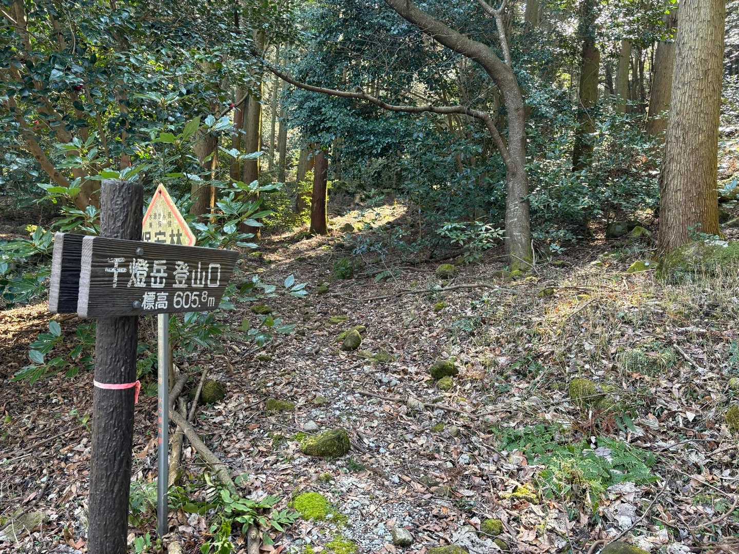 ここまで舗装路歩き、千燈岳登山口から登山道に入ります