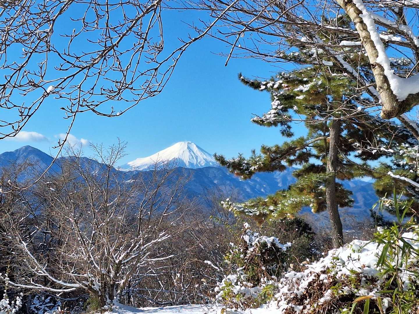 小仏峠-城山 往復コースの写真