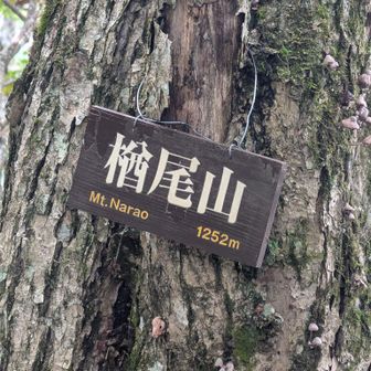 楢尾山🙌
