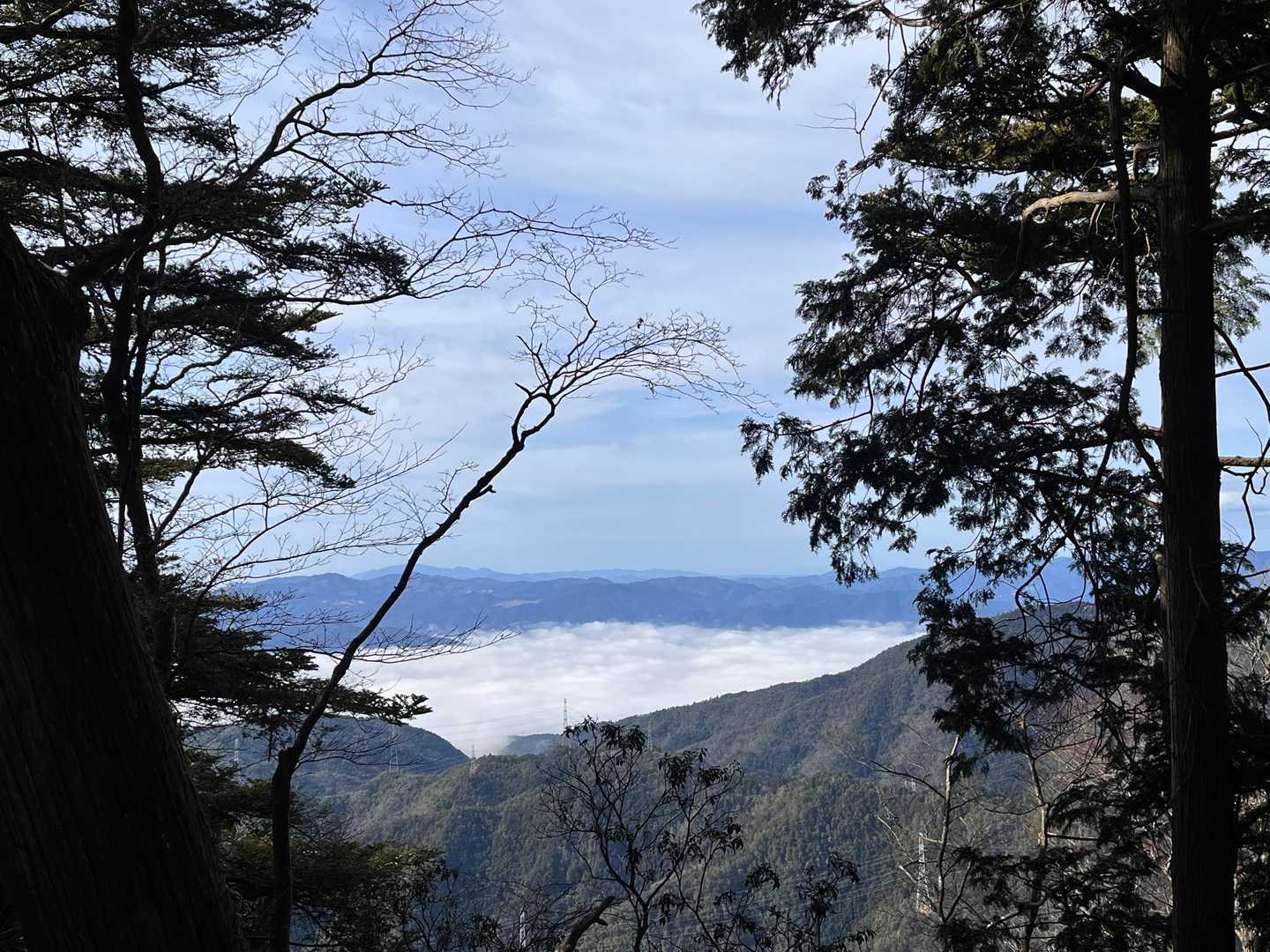 清滝バス停-愛宕山-水尾登山口 縦走コースの写真