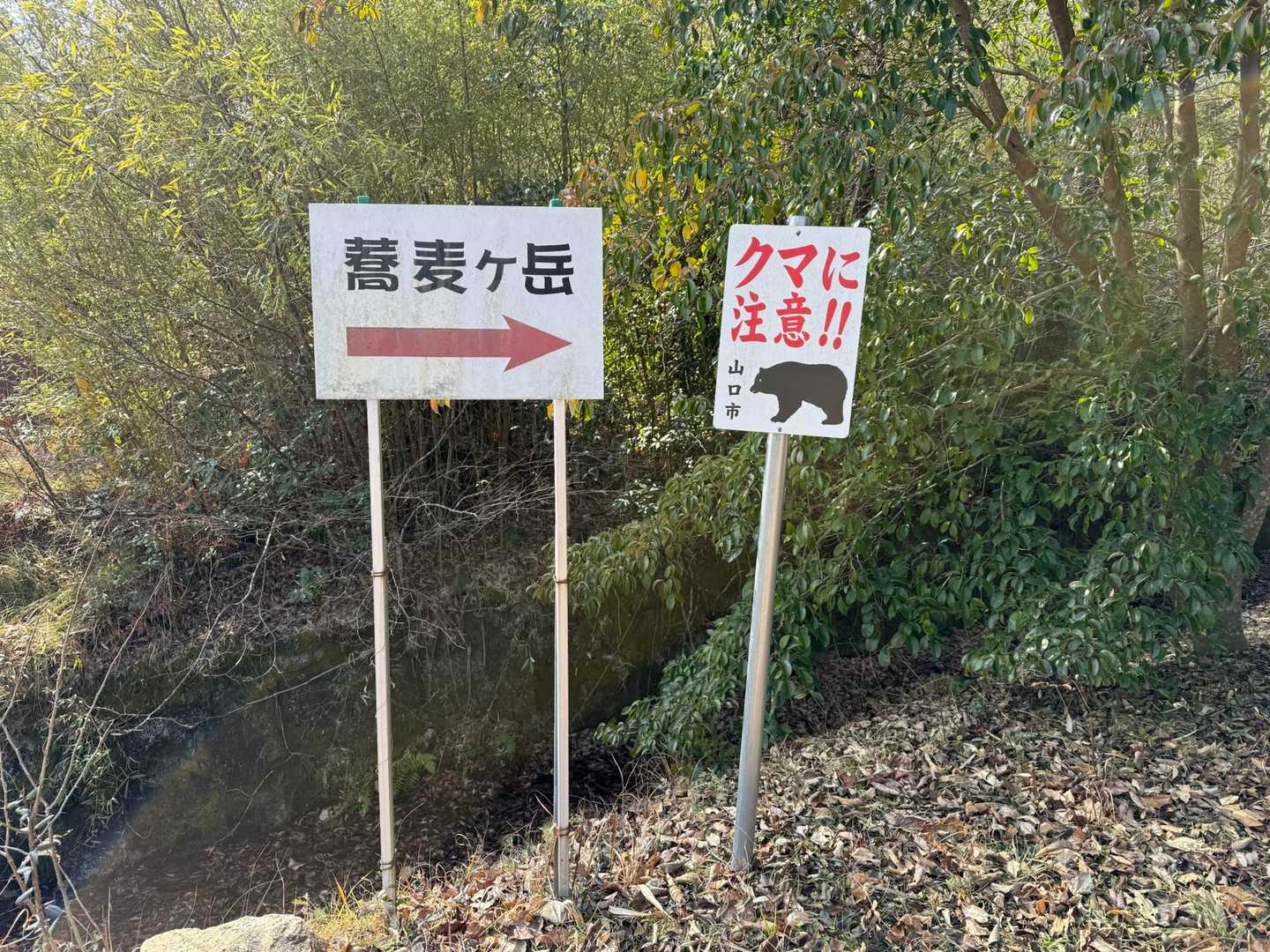 小麦ヶ岳-蕎麦ヶ岳 往復コースの写真
