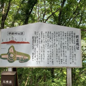山城、堀切が何重にも。