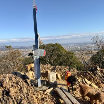 違う角度から🤩