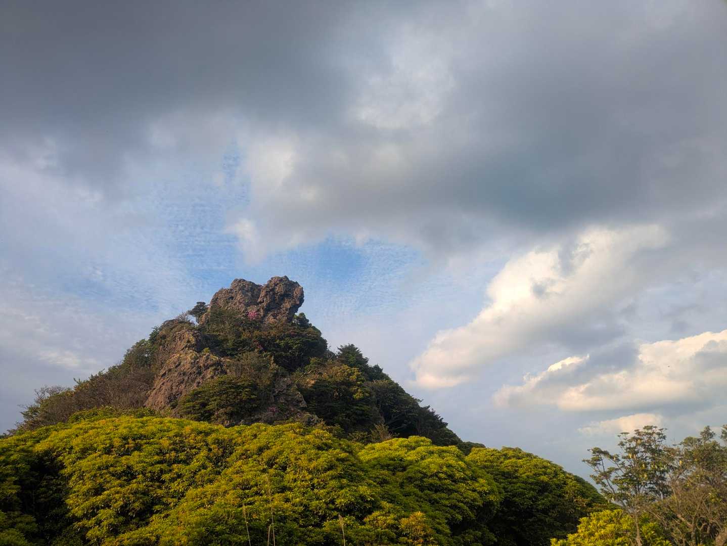 牧ノ戸峠-黒岩山-大崩ノ辻 往復コースの写真