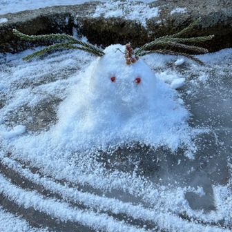 ゆうすけんたろう