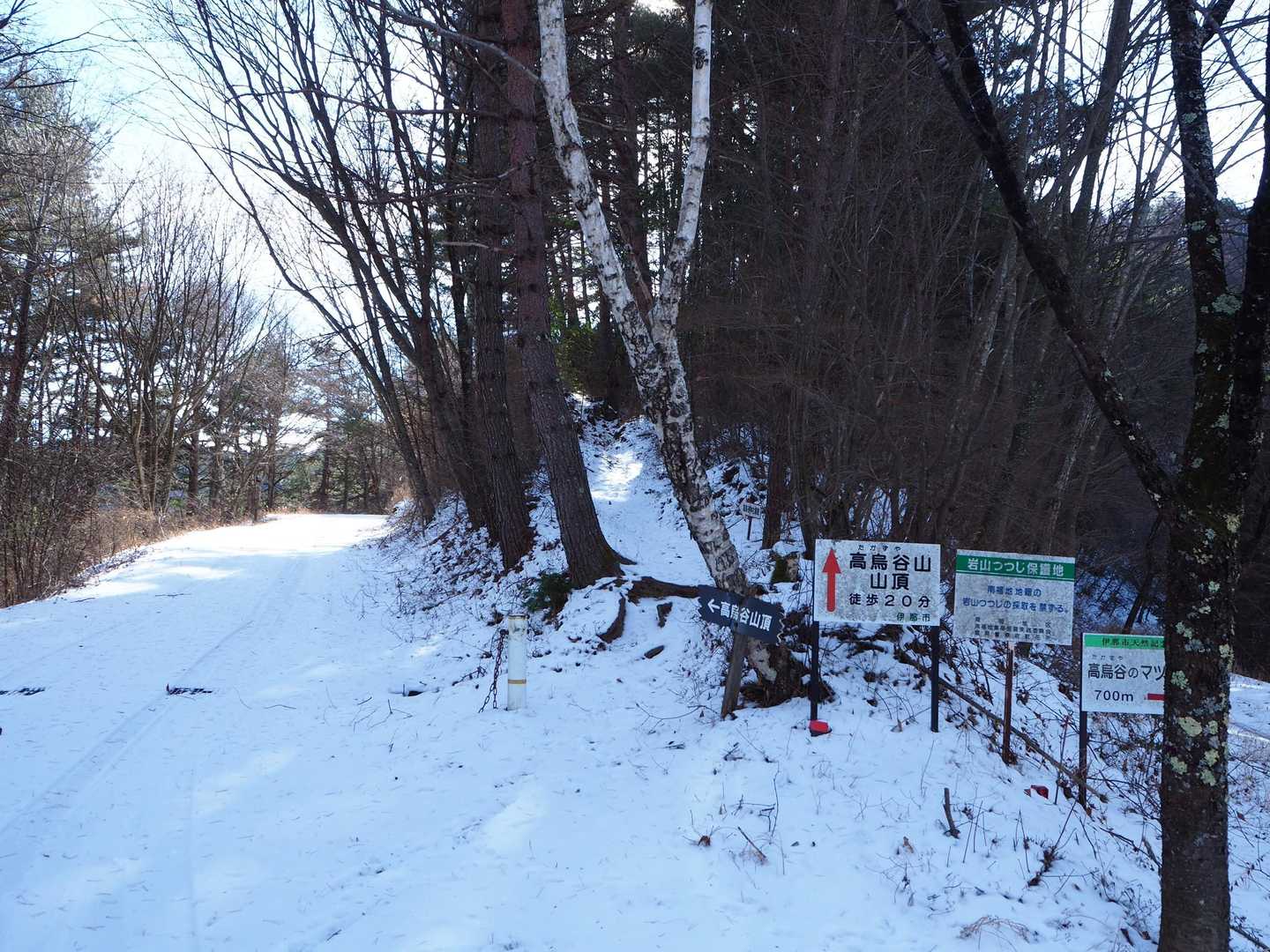 最後の登り
頂上まで20分ってあるけど、車道を歩くのとどちらが早いんだろうか？