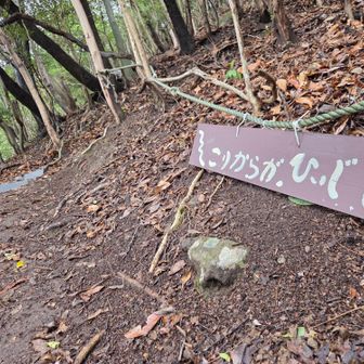 たしかに
こりからやね😅