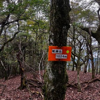 蛇越岳！