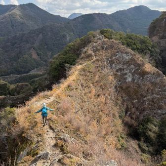躓い (つまずい) たらアウト😅