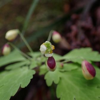 ちょっと開いてます。