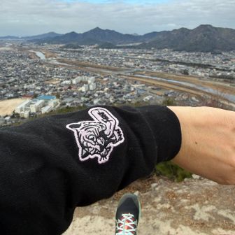 今日は地元防府の企業・タイガー安全さんのオリジナルTシャツを着てきました🐯