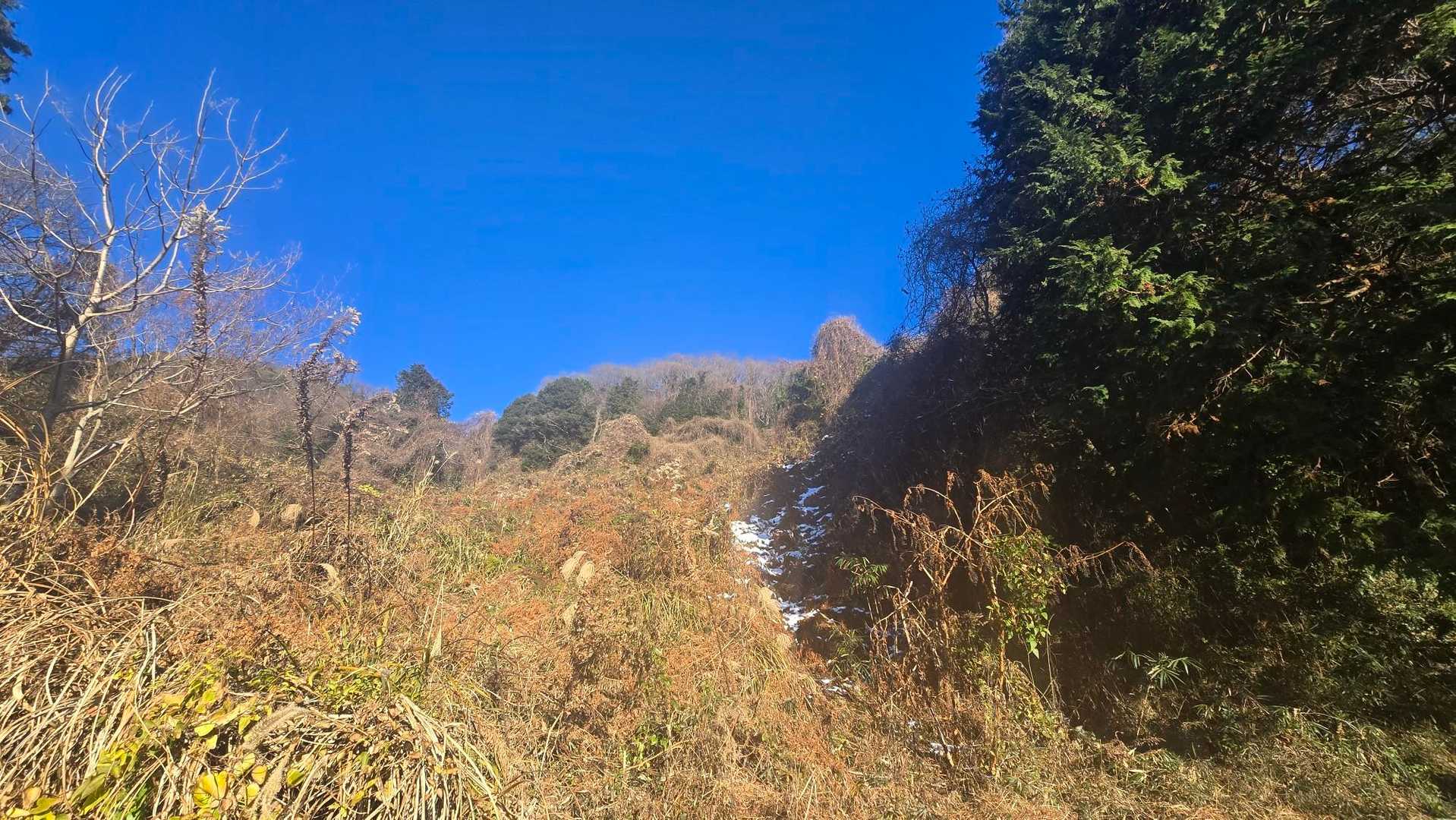 雪がわずかにあり