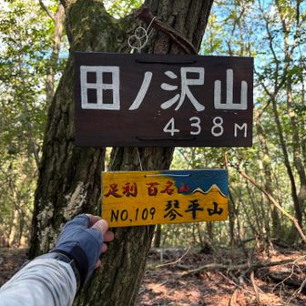 琴平山（田ノ沢山）到着