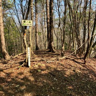 西ノ山山頂の様子

ここも展望はありません。