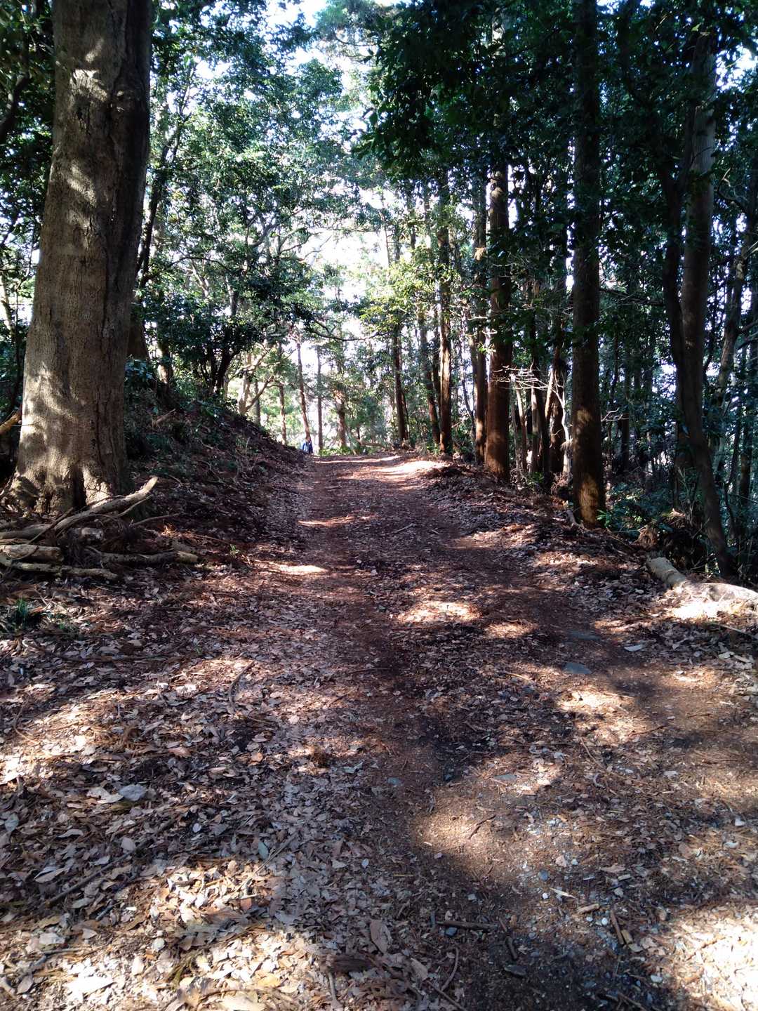 道、綺麗です。
