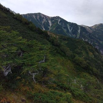 LueuR Ken（リュウル ケン）