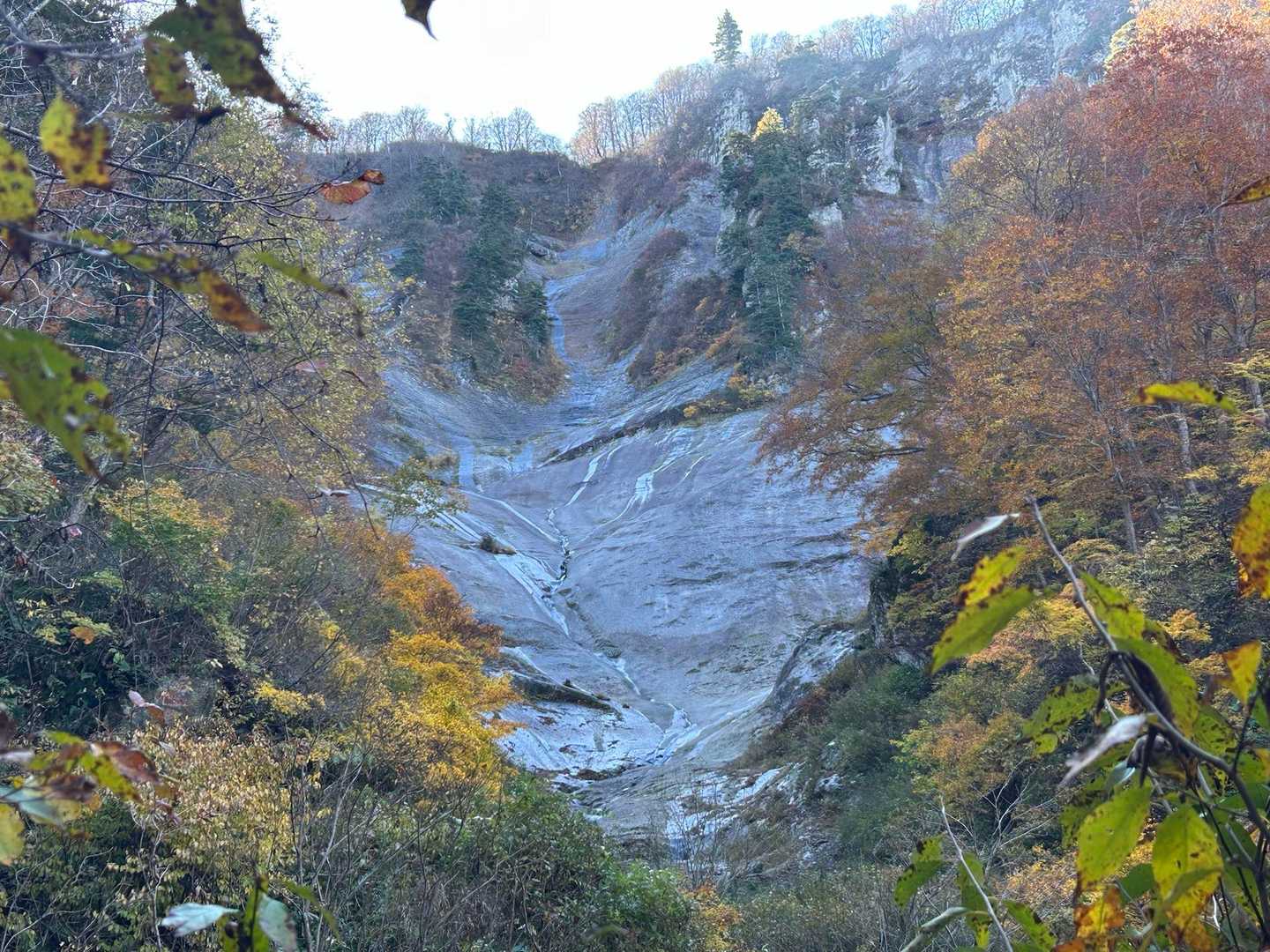 なんどもパチリ