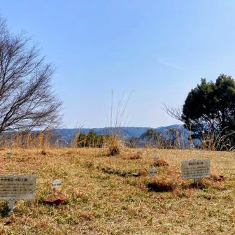 古墳の頂上です✨
YAMAPでは太平山山頂になっております